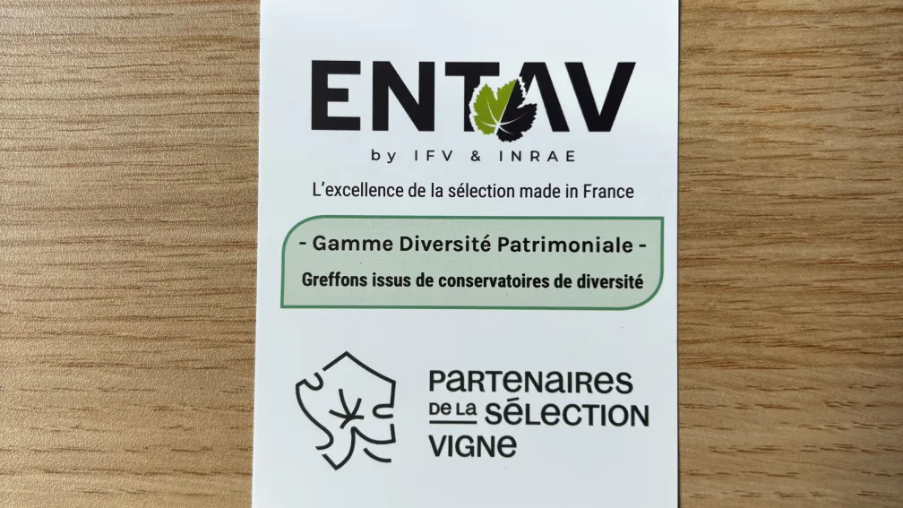 entav