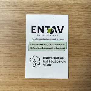 entav