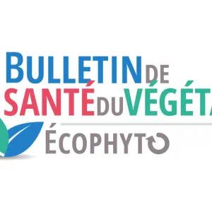 logo bsv