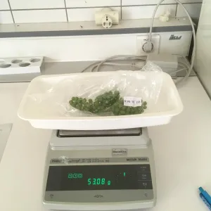 Estimation r&eacute;colte
