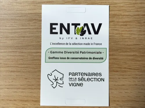 entav